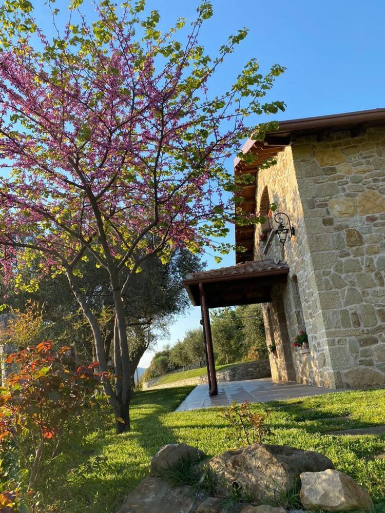 Bujtina Salko Villa Mucaj Buitenkant foto